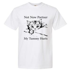 Not Now Partner My Tummy Hurts Funny Cat Design Cat Lovers Garment-Dyed Heavyweight T-Shirt