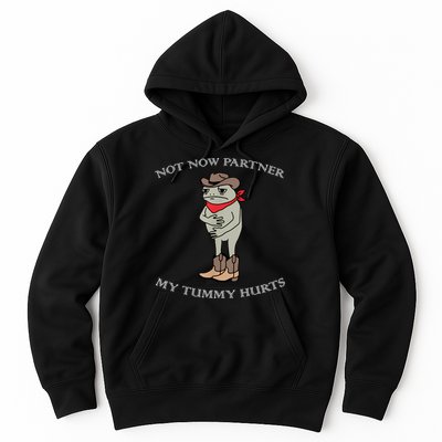 Not Now Partner My Tummy Hurts Hoodie
