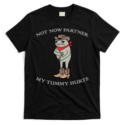 Not Now Partner My Tummy Hurts T-Shirt