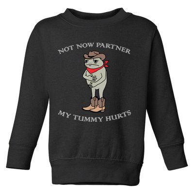 Not Now Partner My Tummy Hurts Toddler Sweatshirt