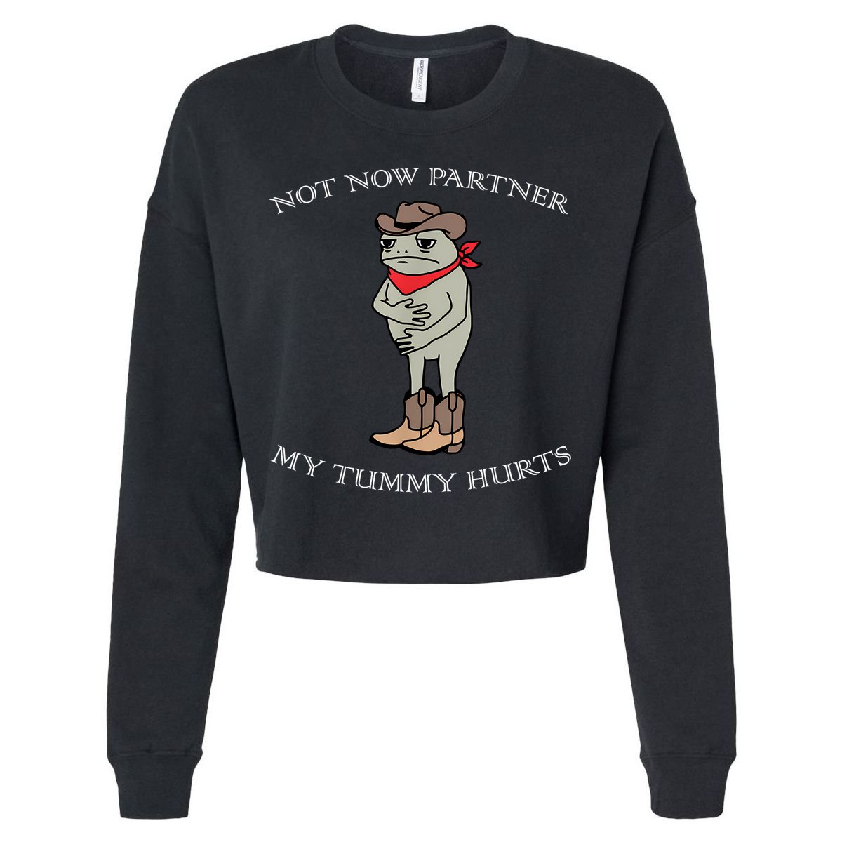 Not Now Partner My Tummy Hurts Hat
