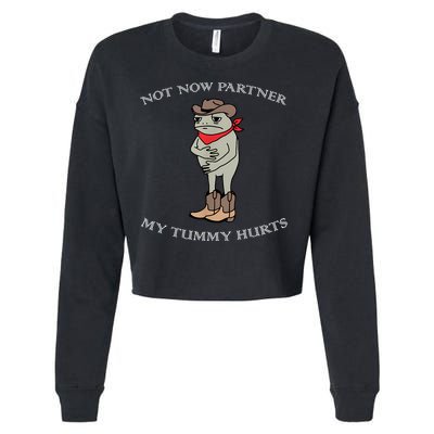 Not Now Partner My Tummy Hurts Cropped Pullover Crew