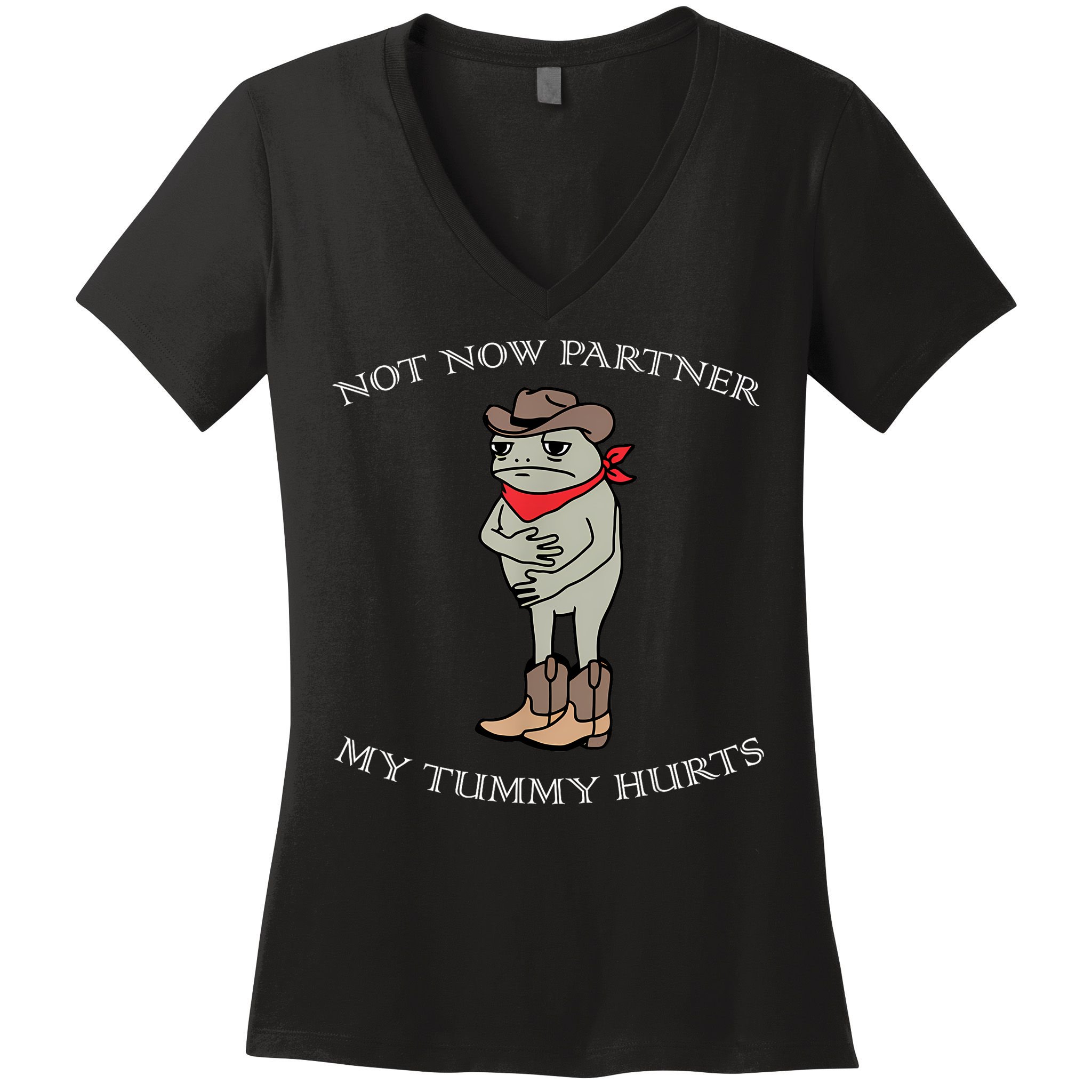 Not Now Partner My Tummy Hurts Women's V-Neck T-Shirt