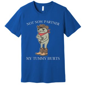 Not Now Partner My Tummy Hurts Premium T-Shirt