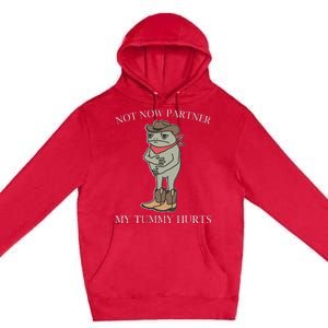 Not Now Partner My Tummy Hurts Premium Pullover Hoodie