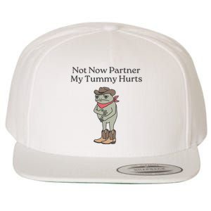 Not Now Partner My Tummy Hurts Wool Snapback Cap