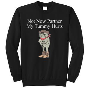 Not Now Partner My Tummy Hurts Design Sweatshirt