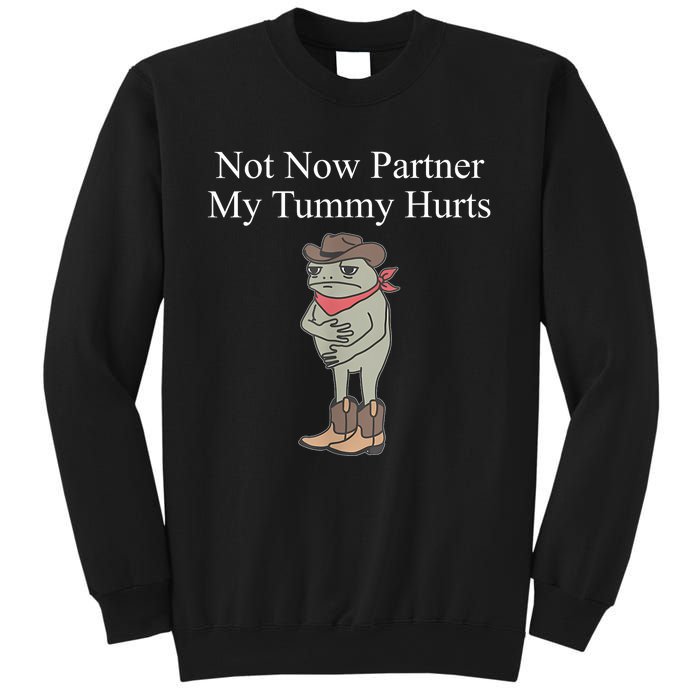 Not Now Partner My Tummy Hurts Design Sweatshirt