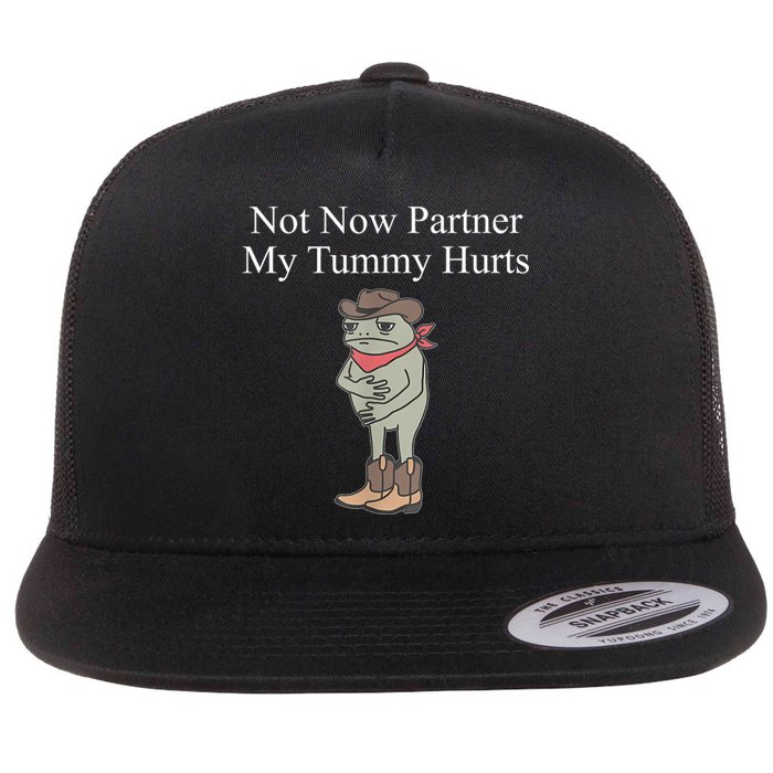 Not Now Partner My Tummy Hurts Design Flat Bill Trucker Hat