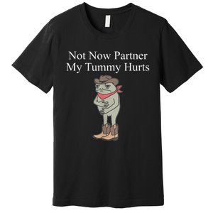 Not Now Partner My Tummy Hurts Design Premium T-Shirt