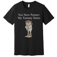 Not Now Partner My Tummy Hurts Design Premium T-Shirt