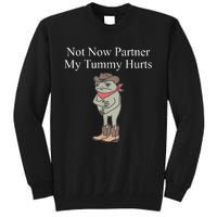 Not Now Partner My Tummy Hurts Design Tall Sweatshirt