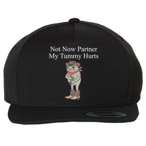 Not Now Partner My Tummy Hurts Design Wool Snapback Cap