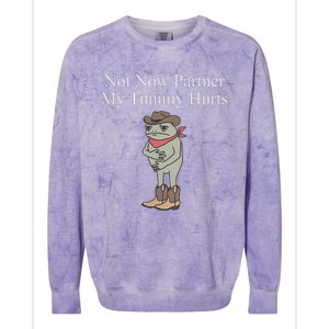 Not Now Partner My Tummy Hurts Design Colorblast Crewneck Sweatshirt