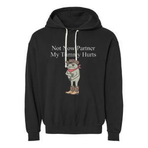 Not Now Partner My Tummy Hurts Design Garment-Dyed Fleece Hoodie