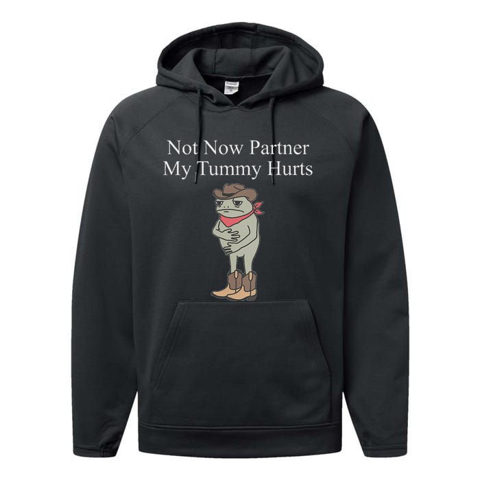 Not Now Partner My Tummy Hurts Design Performance Fleece Hoodie