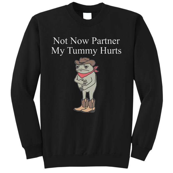 Not Now Partner My Tummy Hurts Design Sweatshirt