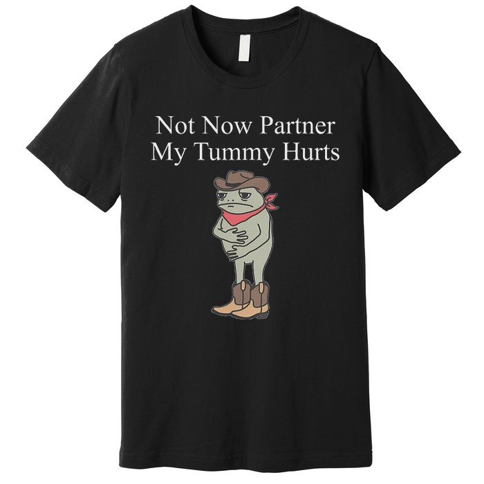 Not Now Partner My Tummy Hurts Design Premium T-Shirt