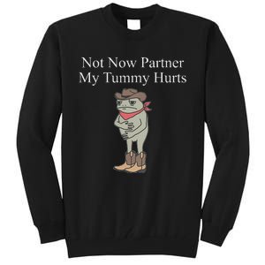 Not Now Partner My Tummy Hurts Design Tall Sweatshirt