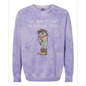 Not Now Partner My Tummy Hurts Design Gift Colorblast Crewneck Sweatshirt