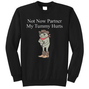 Not Now Partner My Tummy Hurts Design Gift Sweatshirt