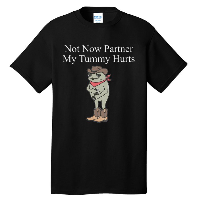 Not Now Partner My Tummy Hurts Design Gift Tall T-Shirt