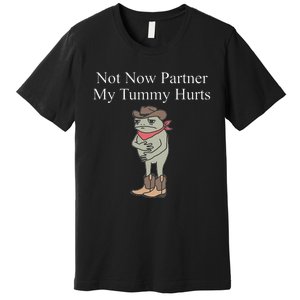 Not Now Partner My Tummy Hurts Design Gift Premium T-Shirt