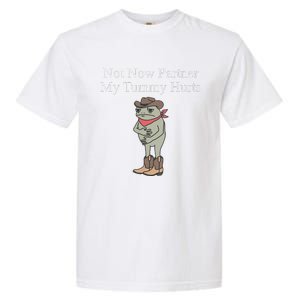 Not Now Partner My Tummy Hurts Design Gift Garment-Dyed Heavyweight T-Shirt