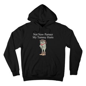 Not Now Partner My Tummy Hurts Hoodie