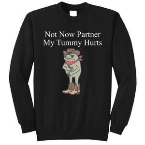 Not Now Partner My Tummy Hurts Sweatshirt