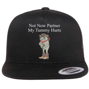 Not Now Partner My Tummy Hurts Flat Bill Trucker Hat