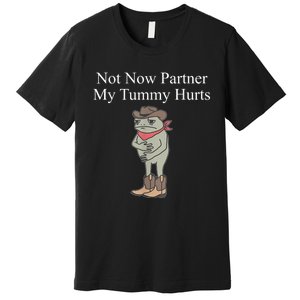 Not Now Partner My Tummy Hurts Premium T-Shirt