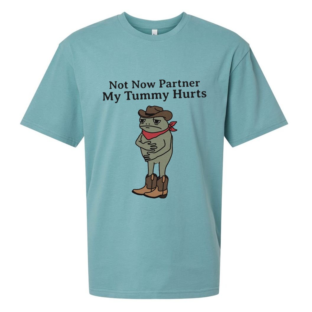 Not Now Partner My Tummy Hurts Cowboy Frog Vintage Sueded Cloud Jersey T-Shirt