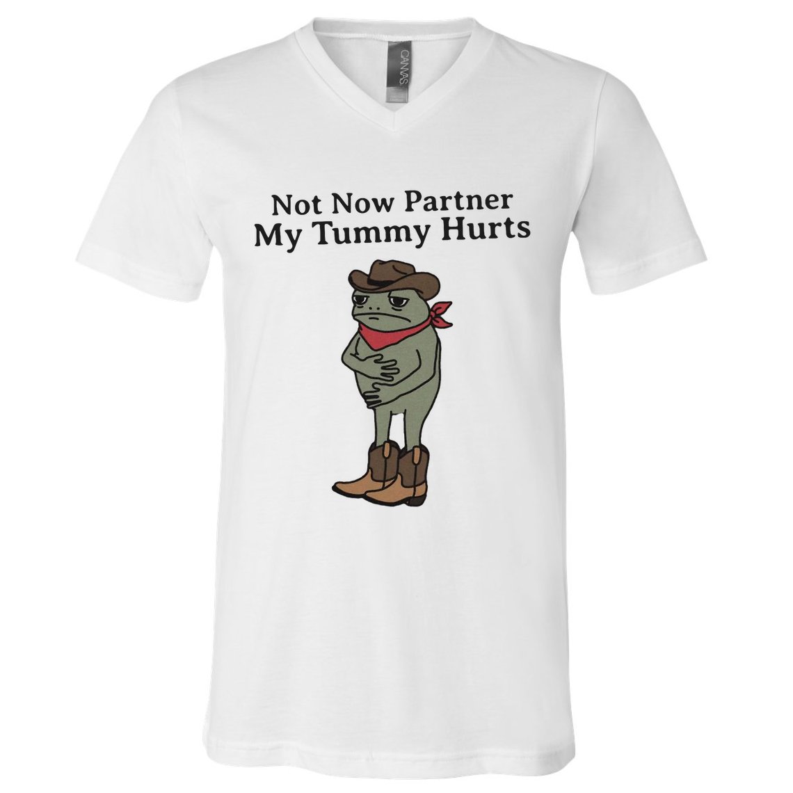 Not Now Partner My Tummy Hurts Cowboy Frog Vintage V-Neck T-Shirt