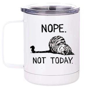 Nope Not Today Tabby Cat 12 oz Stainless Steel Tumbler Cup