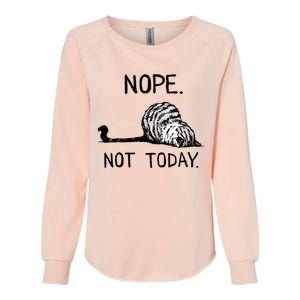 Nope Not Today Tabby Cat Womens California Wash Sweatshirt