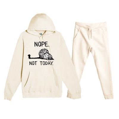 Nope Not Today Tabby Cat Premium Hooded Sweatsuit Set