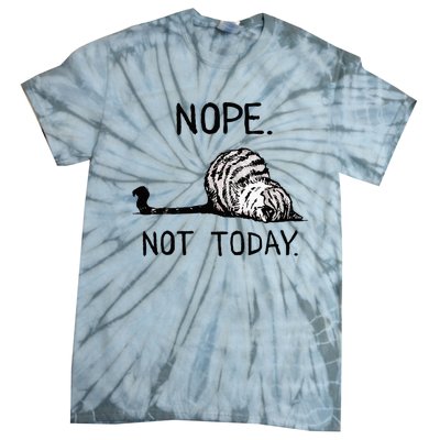 Nope Not Today Tabby Cat Tie-Dye T-Shirt