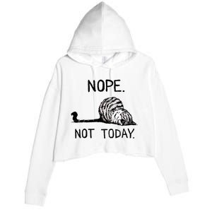 Nope Not Today Tabby Cat Crop Fleece Hoodie