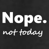 No Not Today! Nope Not Today Cute Gift Adult Drive Performance Visor