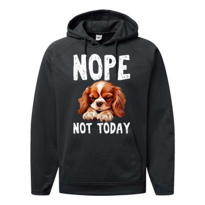 Nope Not Today Lazy Dog Funny Cavalier King Charles Spaniel Performance Fleece Hoodie