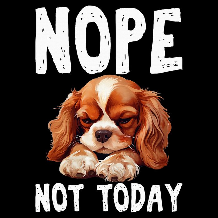 Nope Not Today Lazy Dog Funny Cavalier King Charles Spaniel Drawstring Bag