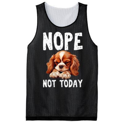 Nope Not Today Lazy Dog Funny Cavalier King Charles Spaniel Mesh Reversible Basketball Jersey Tank