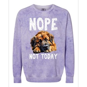 Nope Not Today Lazy Dog Funny Leonberger Colorblast Crewneck Sweatshirt