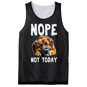 Nope Not Today Lazy Dog Funny Leonberger Mesh Reversible Basketball Jersey Tank