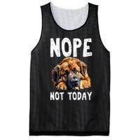 Nope Not Today Lazy Dog Funny Leonberger Mesh Reversible Basketball Jersey Tank