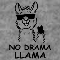 No Drama Llama Kids T-Shirt