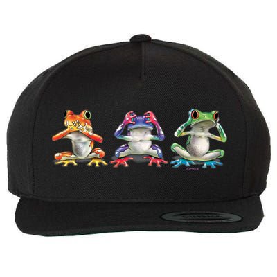 No Evil Colorful Frogs Wool Snapback Cap