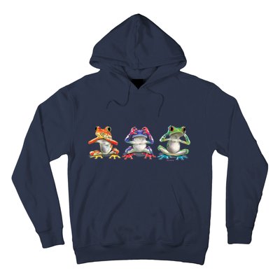 No Evil Colorful Frogs Hoodie