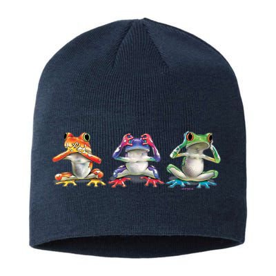 No Evil Colorful Frogs Sustainable Beanie